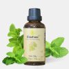 tinh dau bac ha 50ml - chaufarm