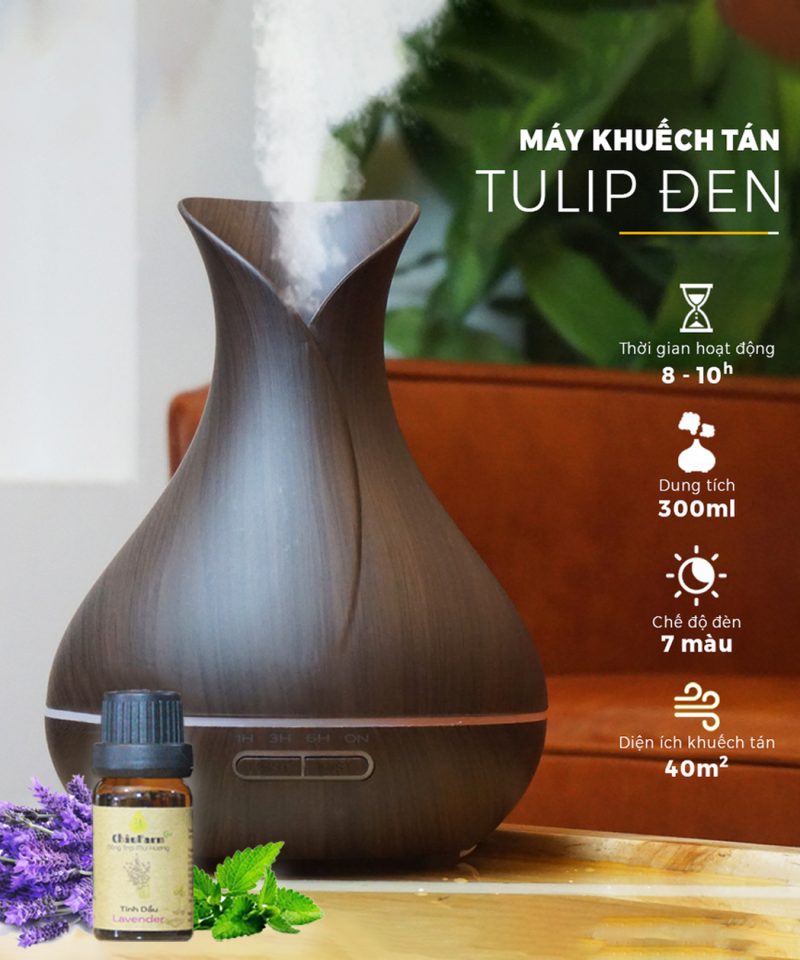 may-khuech-tan-tulip